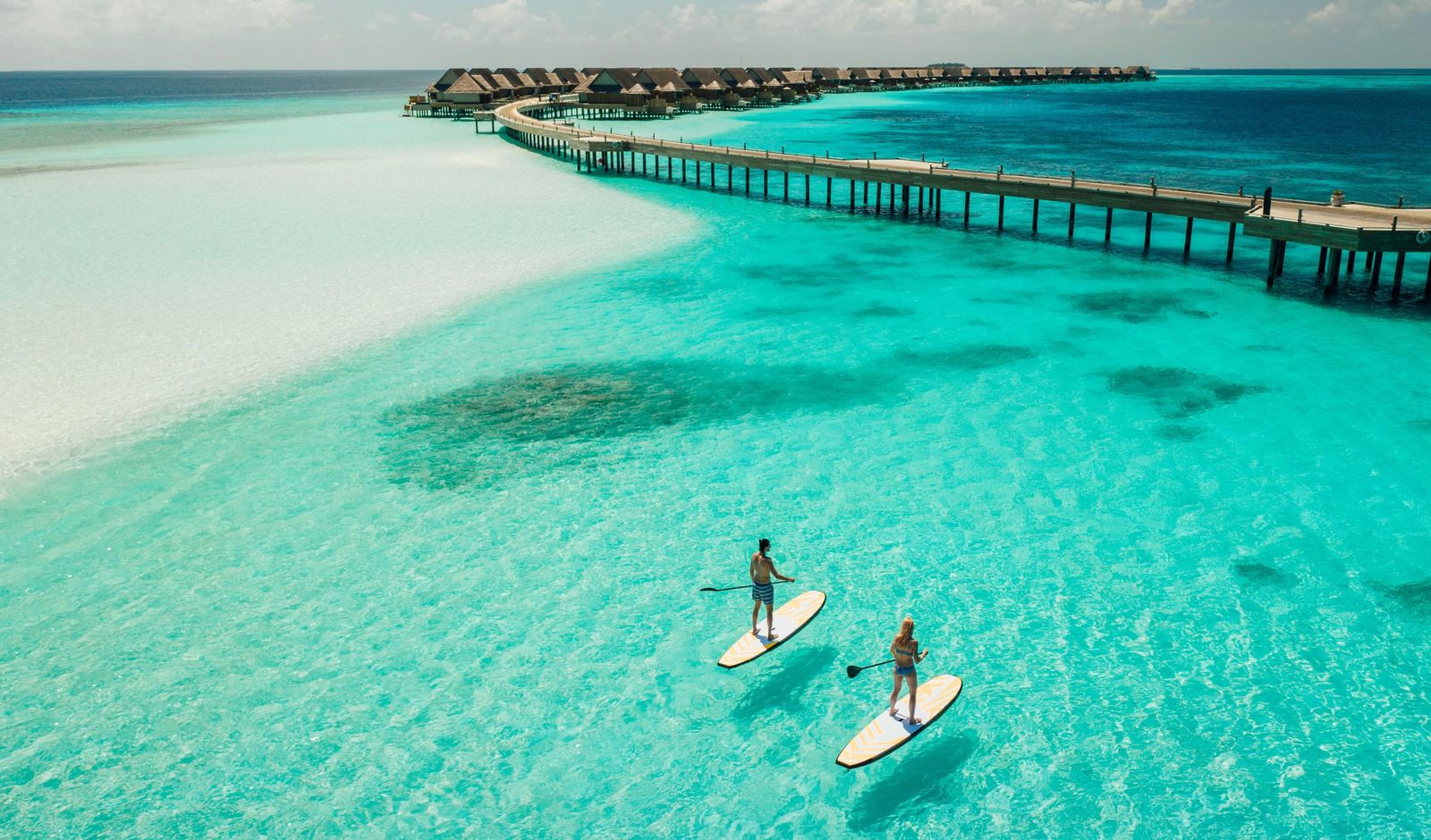 Порно литрлік сперматозоидтар үлкен мүшесі